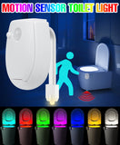 Motion Sensor Toilet Night Light