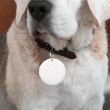 Find My dog/cat GPS Tag