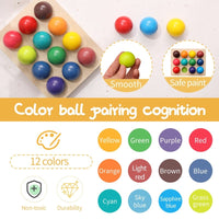 Wooden Montessori Rainbow Ball Matching Sensory Game